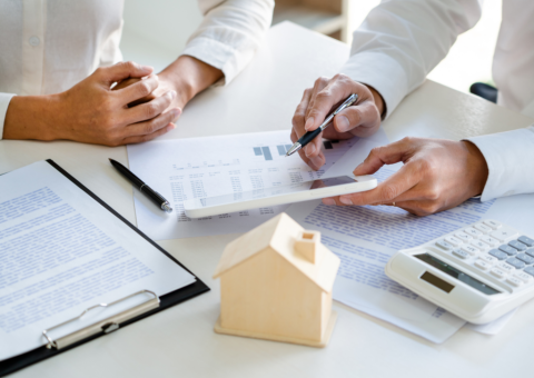 La Promotion Immobilière en France