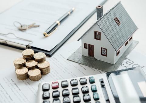 Le Marché de l'Immobilier Neuf